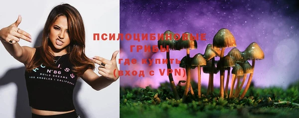 ALPHA PVP Лабытнанги