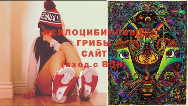 дживик Ладушкин